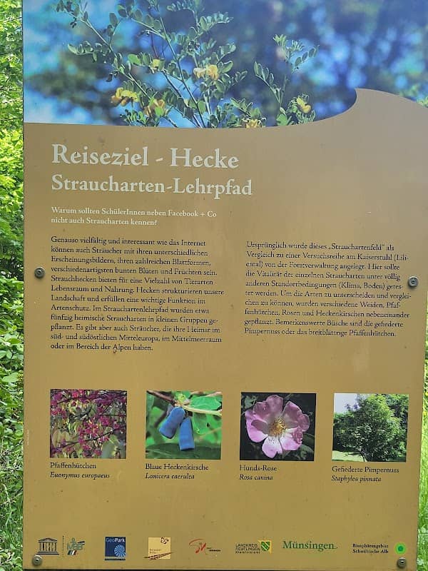 Strauchlehrpfad - Image 1