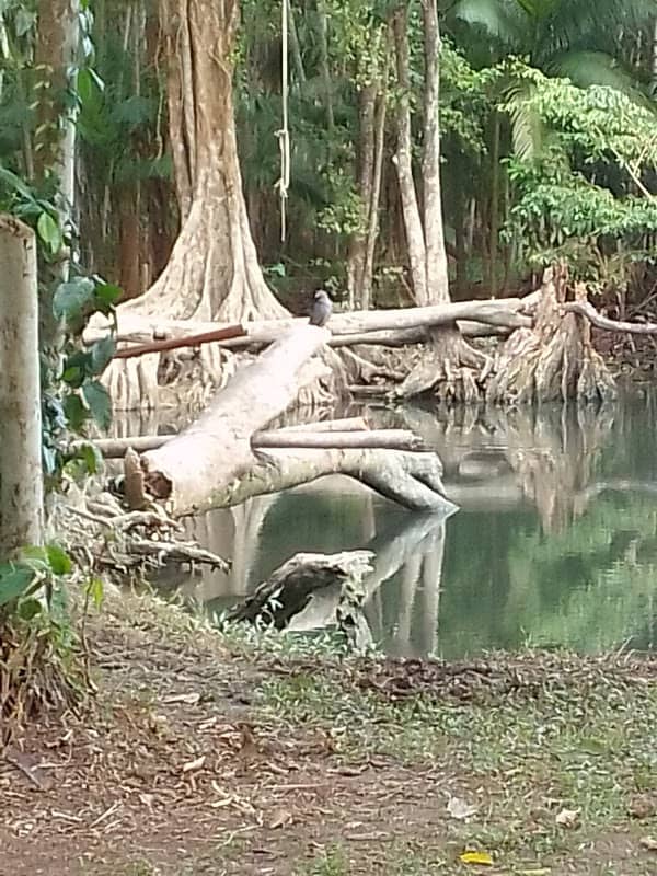Sitio Canto do Galo - Image 1