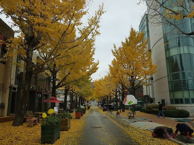 Suncheon Culture Street - Image 1