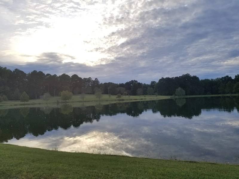 Lamar Park - Image 3