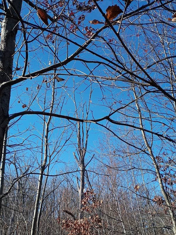 Birge Pond - Image 2