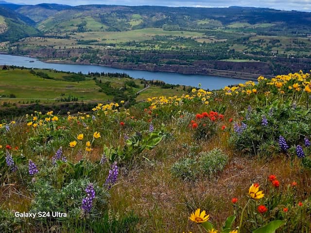 Tom McCall Preserve - Image 1