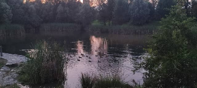 Stagno di Madrugo - Image 1