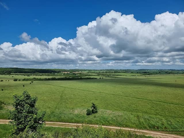 Martin Down National Nature Reserve - Image 1