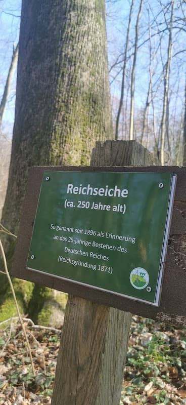 Reichseiche - Image 1