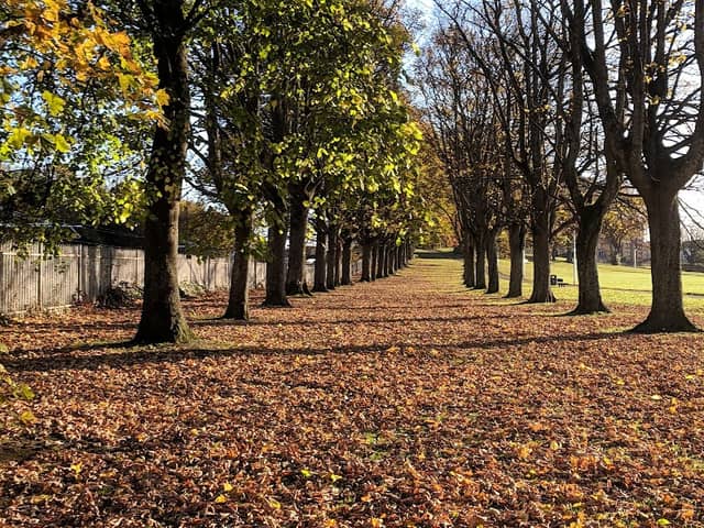West End Public Park - Image 2