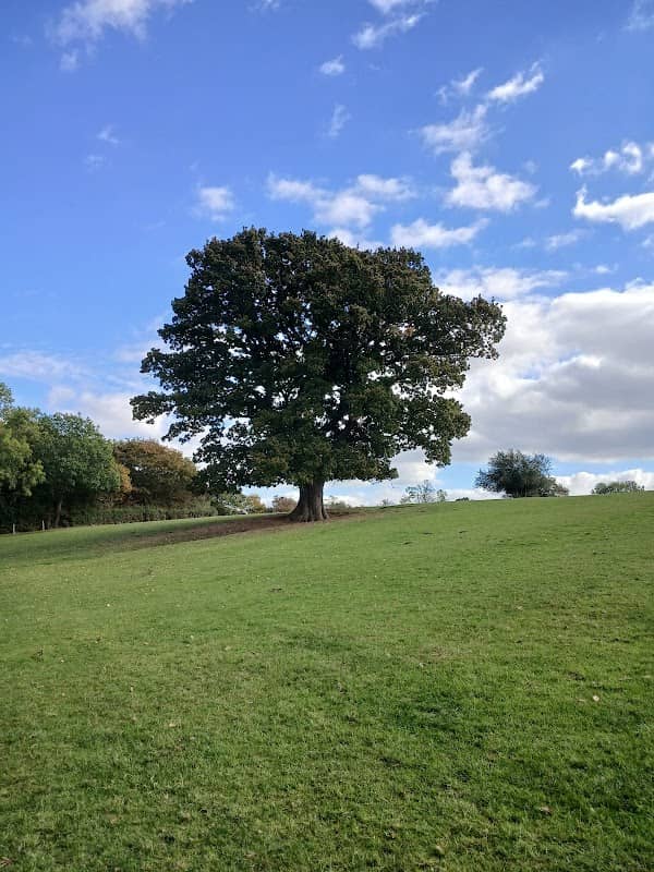 Bugbrooke Meadows - Image 1