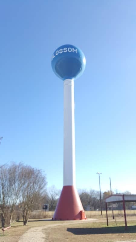 Blossom City Park - Image 3