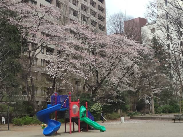 Itsutsubashi Park - Image 2
