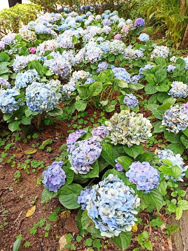 姆明花園 - Image 2