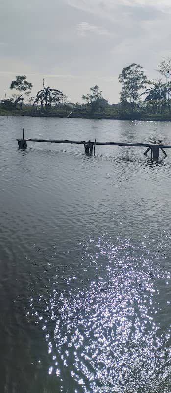 Saung ranggon empang - Image 1
