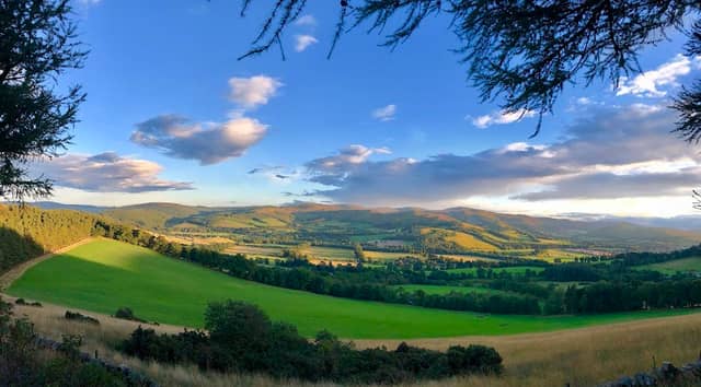 Glentress Forest - Image 1
