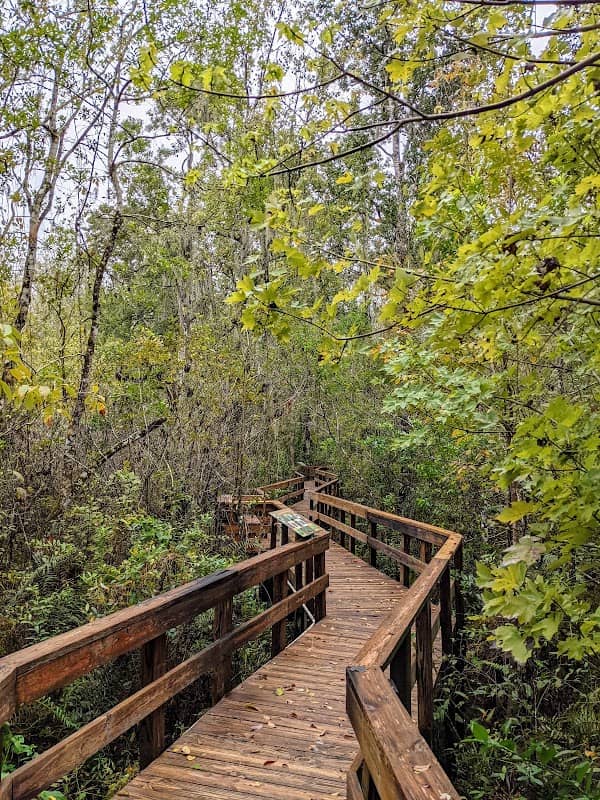 Sara Maude Mason Park - Image 1