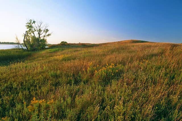 Yellow Bank Hills Scientific and Natural Area - Image 2