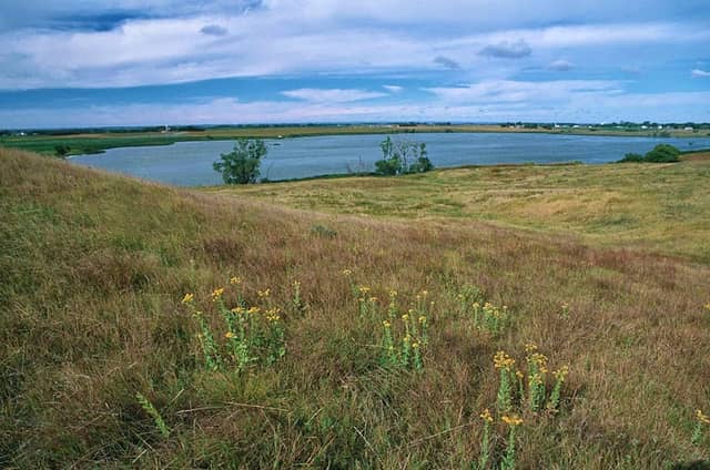 Yellow Bank Hills Scientific and Natural Area - Image 1