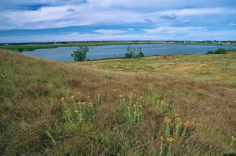 Yellow Bank Hills Scientific and Natural Area - Image 1