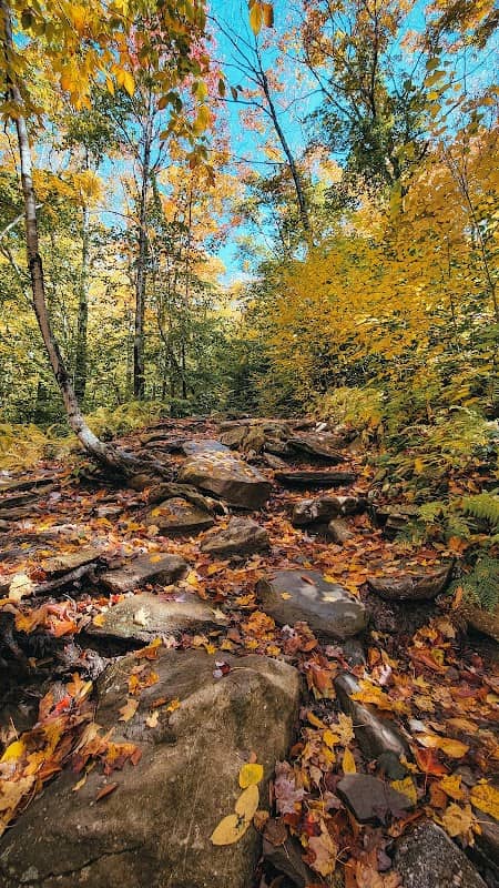 Giant Ledge - Image 1