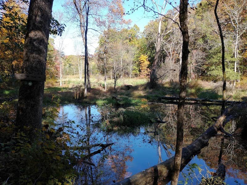 Mill Brook Preserve - Image 1