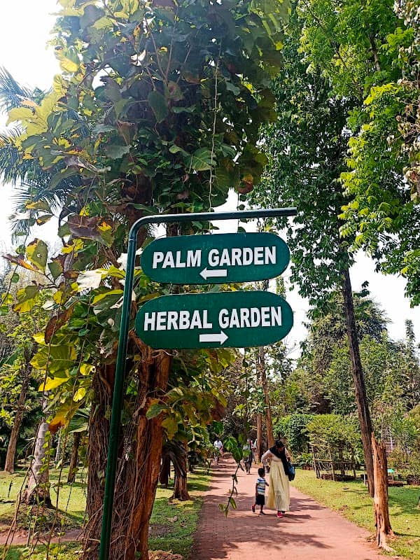 Taxonamic Garden - Image 1