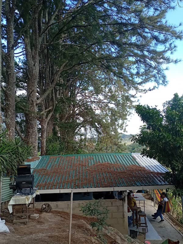 Ventura´s House - Image 1