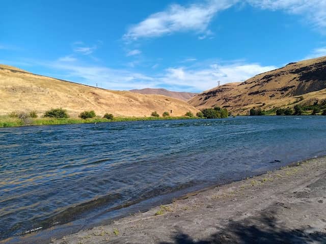 Lower Deschutes Wildlife Area - Image 1