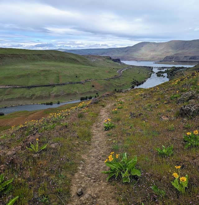 Lower Deschutes Wildlife Area - Image 2