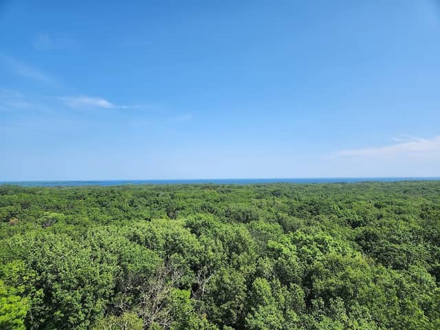 Kathio Observation Tower - Image 1