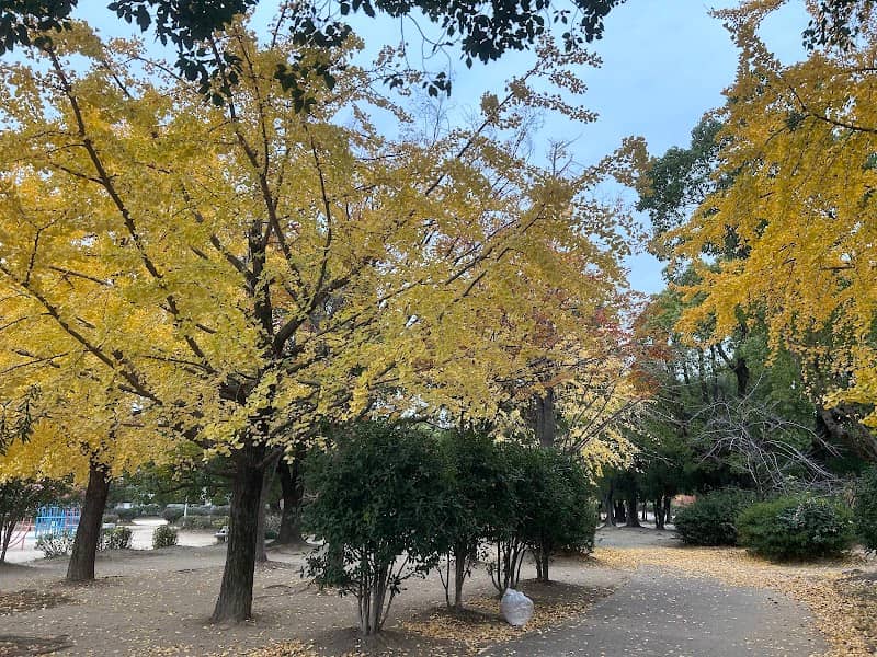 Yaenosato Park - Image 1