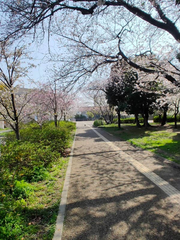 Yaenosato Park - Image 2