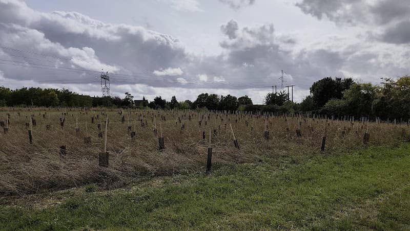 Parc Allende - Image 1