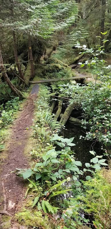 White Creek Trail - Image 2