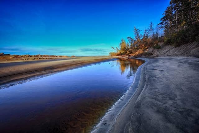 White Creek Trail - Image 1