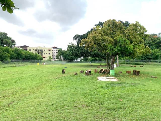 Ecopark - Image 1