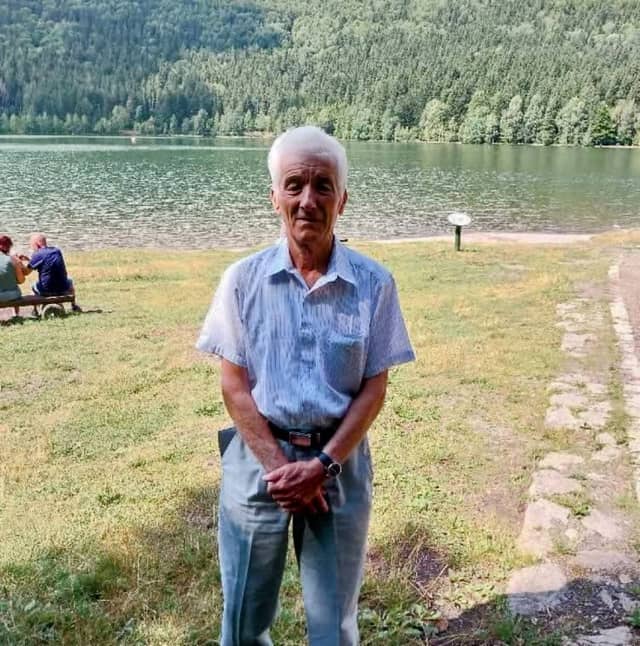 Imrehegyi kiserdő - Image 1