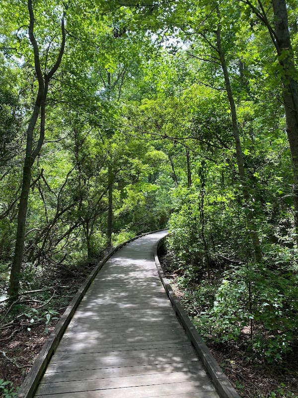 Jarvis Creek Fitness Trail - Image 1