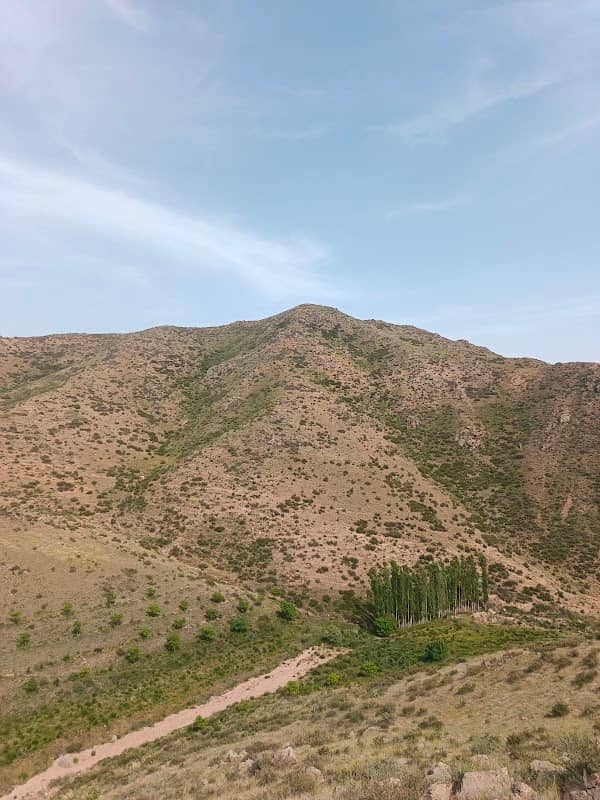 Madina choʻqqisi - Image 2