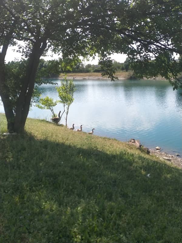 Parco Giotto - Image 1