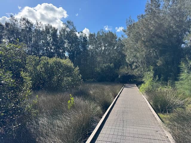 Lillian Road Reserve, Riverwood - Image 2
