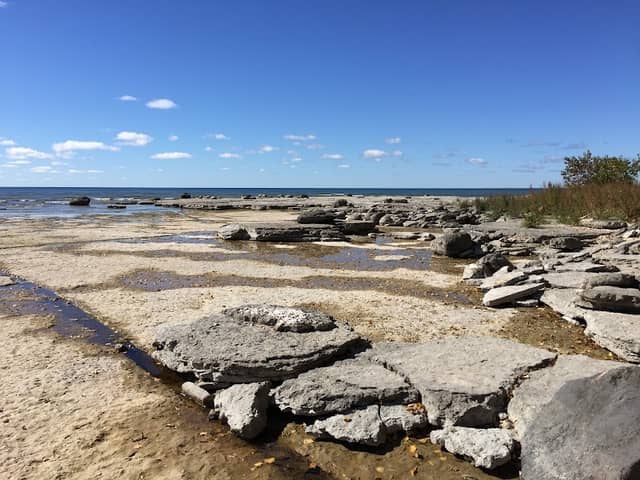 El Dorado Coastal Preserve - Image 1