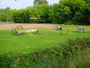 Jean & Carl Frank Canine Park - Image 2