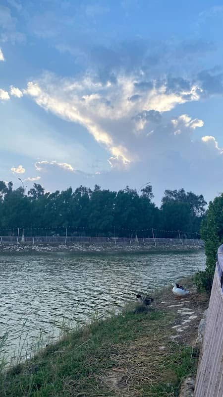 متنزه علي - Image 1
