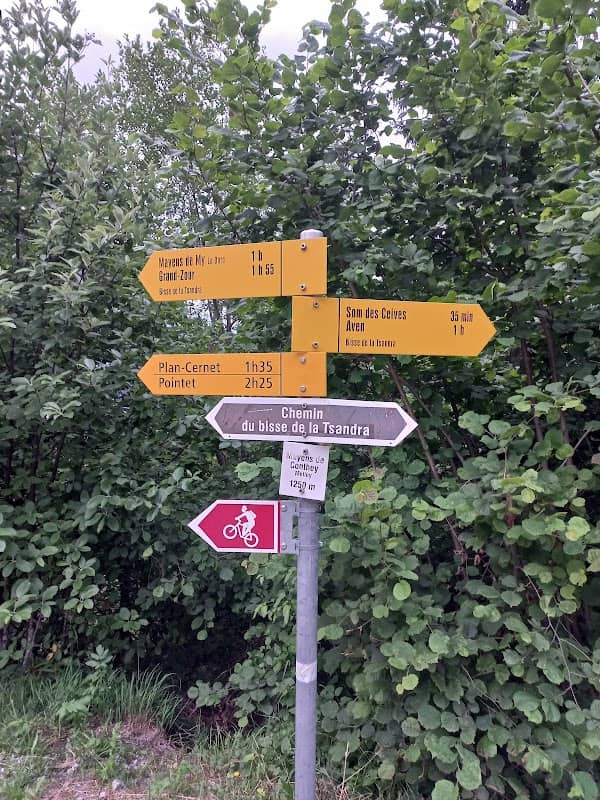 Bisse de la Tsandra trail - Image 1