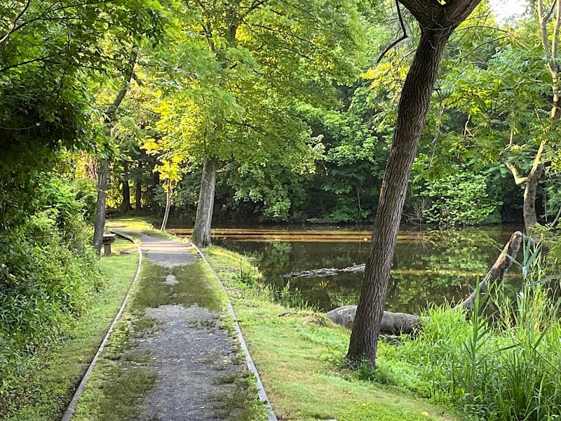 McLhinney Park - Image 1