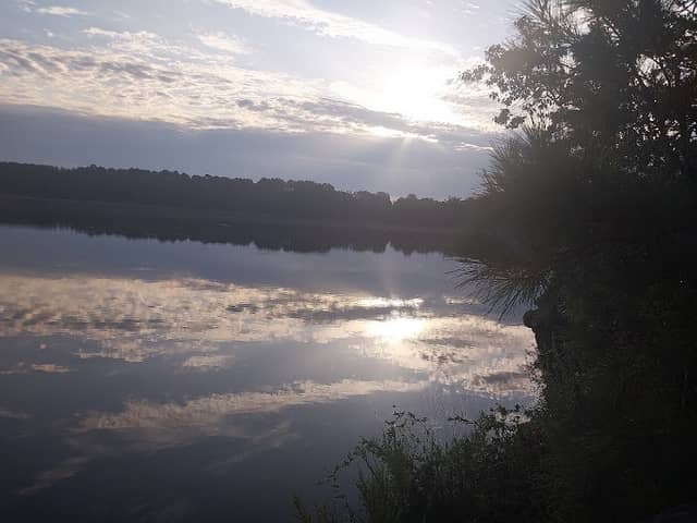 Lower Dam - Image 1
