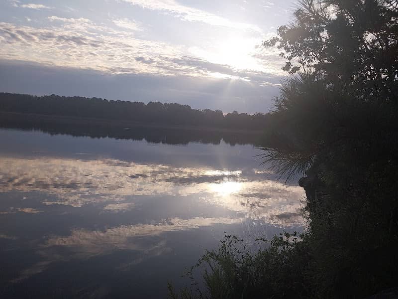 Lower Dam - Image 1