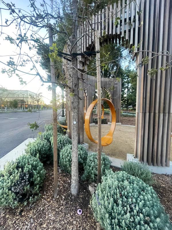 The rings - Image 1