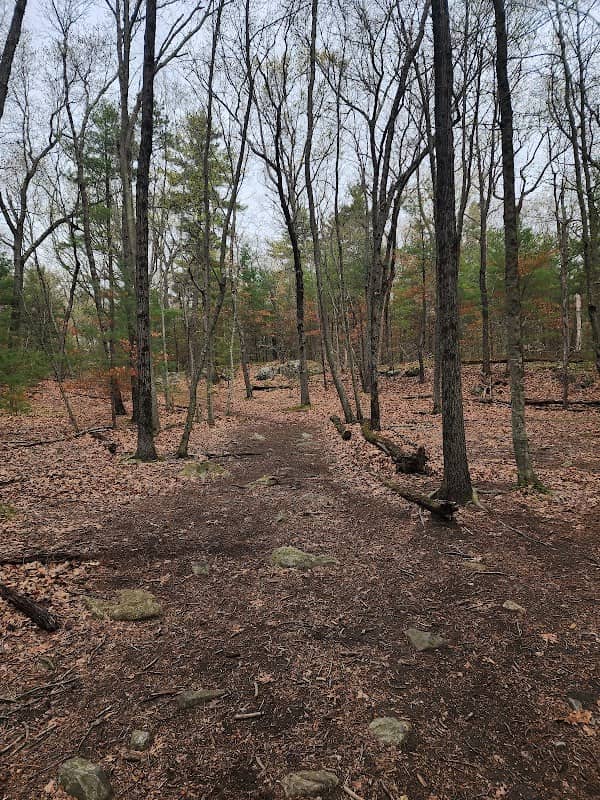 Storer Conservation - Image 2