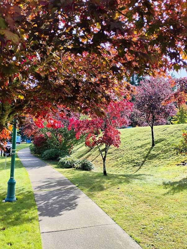 Civic Center Green - Image 2