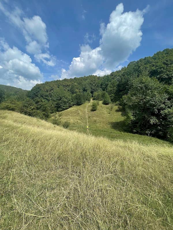 Valea Boului - Image 1