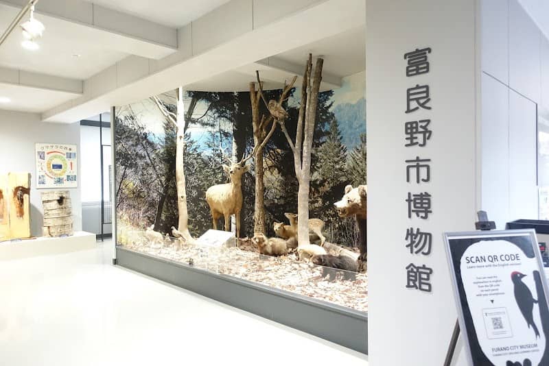 Furano City Museum - Image 2